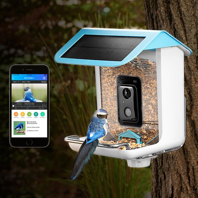 Video Camera Bird Feeder - White/Blue - [9.7 In X 8.7 In X 11 In]